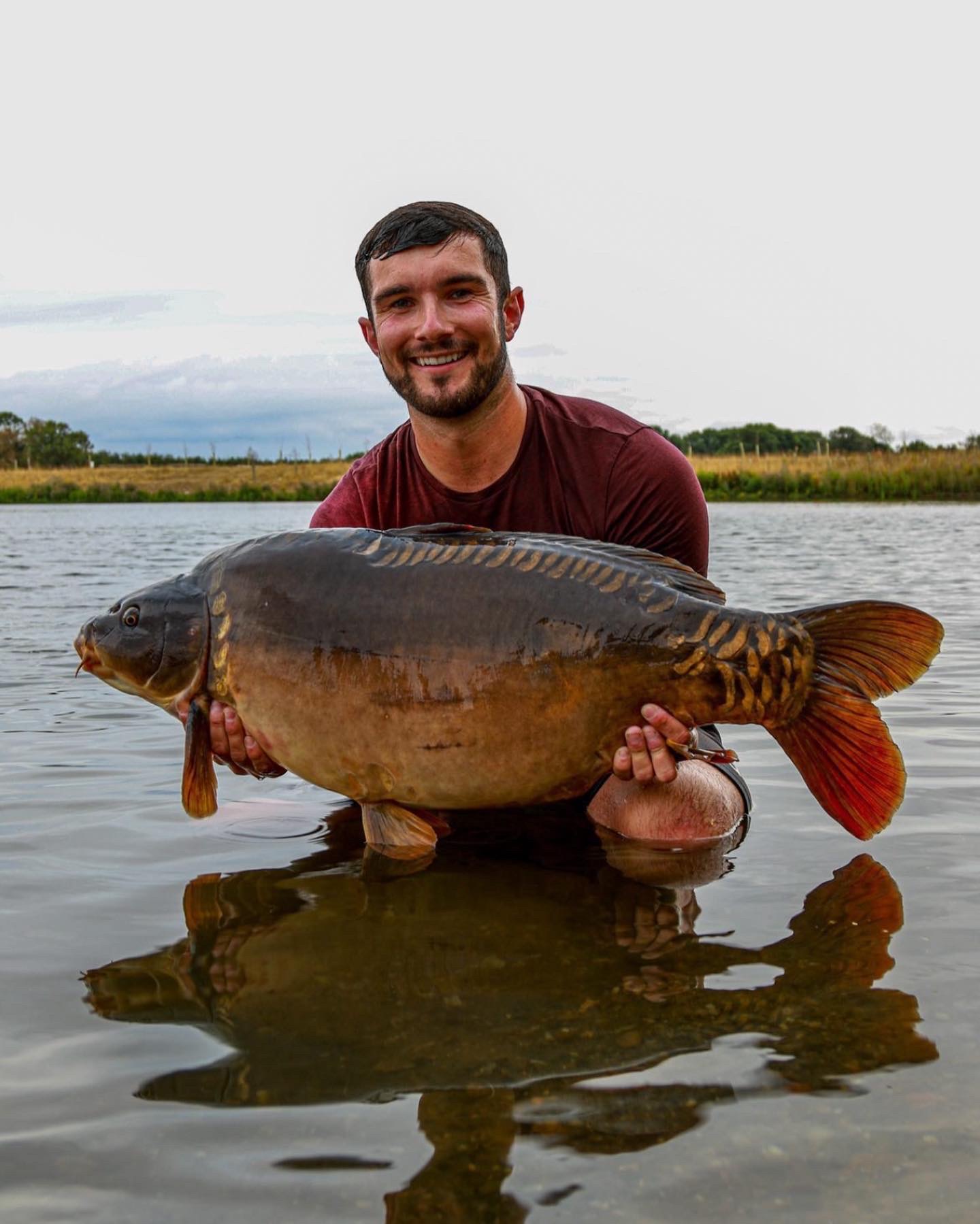32.4lbs Pettits | Total Carp